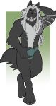  anthro bulge canid canine canis collar hair hi_res hybrid jko2 male mammal piercing sereph silver_hair solo tattoo wolfdog 