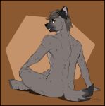  anthro biped canid canine countershade_torso countershading crossed_legs dipstick_tail greasymojo hi_res looking_at_viewer looking_back male mammal markings nude solo tail_markings 