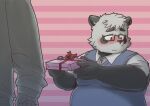  2022 anthro black_nose blush clothing duo eyewear giant_panda gift glasses hi_res holidays humanoid_hands kemono male mammal necktie overweight overweight_male pinoren sasayama_akira shirt solo_focus topwear ursid valentine&#039;s_day virtual_youtuber white_body 