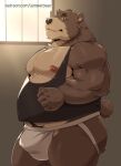  2022 absurd_res anthro brown_body brown_nose bulge clothing hi_res humanoid_hands jockstrap jumperbear kemono male mammal overweight overweight_male shirt solo topwear underwear ursid 