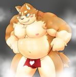  &lt;3 2022 anthro asian_clothing belly blue_eyes brown_body bulge canid canine canis clothing domestic_dog east_asian_clothing fundoshi humanoid_hands japanese_clothing kemono male mammal meg_hoi moobs navel nipples overweight overweight_male red_clothing red_fundoshi red_underwear solo underwear 