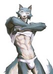  anthro beastars bulge canid canine canis clothed clothing clothing_lift hi_res legoshi_(beastars) looking_at_viewer male mammal simple_background solo underwear undressing white_background wolf zzhenliu 