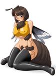  artist_request black_eyes blush breasts brown_hair cleavage embarrassed female full_body gradient gradient_background insect insect_girl monster_girl no_panties pubic_hair simple_background solo thighhighs white_background wings 