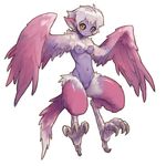  1girl artist_request breasts harpy monster_girl navel nipples nude pointy_ears purple_hair purple_wings pussy simple_background solo talons wings yellow_eyes 