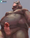  2021 anthro balls belly blush bodily_fluids edit erection genital_fluids genitals hi_res humanoid_genitalia humanoid_penis kemono male mammal moobs navel nion nipples overweight overweight_male penis precum scar simple_background solo suid suina sus_(pig) uncensored wild_boar 