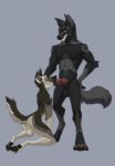  anthro canid canine canis duo fellatio hi_res kneeling male male/male mammal oral paws penile raota sex smile wolf 