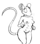  2021 4_fingers anthro female fingers hi_res mammal monochrome mostly_nude multi_nipple murid murine navel nipple_tape nipples pasties portrait rat rodent schmutzo simple_background sketch solo tape three-quarter_portrait whiskers white_background 
