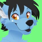  1:1 anthro black_body black_ears black_eyebrows black_fur black_hair black_nose black_tongue blep blue_body blue_ears blue_fur cheek_tuft chest_tuft ear_piercing ear_ring eyebrows facial_tuft feve fur glistening glistening_eyes green_background hair headshot_portrait inner_ear_fluff looking_at_viewer male orange_eyes piercing portrait sepf simple_background smile solo star_marking tongue tongue_out tuft white_body white_fur white_inner_ear_fluff 