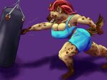  analog_raccoon anthro big_breasts breasts cleavage cleavage_overflow clothed clothing female hyaenid mammal muscular muscular_female punch punching_bag solo spotted_hyena teeth tight_clothing 