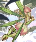  1girl :d bare_shoulders blurry blurry_foreground commentary digimon digimon_(creature) digimon_adventure flying full_body green_eyes green_footwear leaf_wings lillymon open_mouth plant shadow smile solo sparkle thorns tokonatu vines wings 