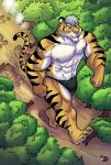  4_toes abs anthro barefoot biceps big_feet bulge clothing digital_media_(artwork) feet felid forest fur hair hi_res macro male mammal muscular muscular_anthro muscular_male nova_(derg-nova) nude pantherine paws pecs plant rasmussen891 solo tiger toes tree underwear 