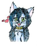  &lt;3 blue_body cat_smile collar domestic_cat fangs felid feline felis female fuzzy green_eyes hi_res mammal selina selinatc sketch 
