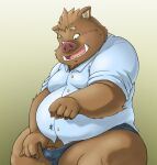  2022 anthro belly brown_body bulge clothing dekatanu duo genitals humanoid_hands kemono macro male mammal overweight overweight_male penis shirt suid suina sus_(pig) topwear underwear wild_boar 