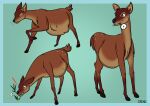 absurd_res alert annoyed bambi&#039;s_mother bambi_(film) belly breath cervid disney female feral flower grass heavy hi_res huff kick mammal panting plant pregnant pregnant_female scut_tail shocked shocked_expression shocked_face short_tail solo xenopony456 