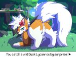  anus aroused ass_up blush butt collar dialogue_box digitigrade dusk_lycanroc female feral flower forest forest_background fur genitals green_eyes humanoid_genitalia inviting looking_at_viewer looking_back lycanroc nature nature_background nintendo nulloffset orange_body orange_fur outside plant pok&eacute;mon pok&eacute;mon_(species) presenting presenting_hindquarters presenting_pussy pussy shy solo solo_focus soulsong_(celestial_wolf) tree user_interface video_games white_body white_fur 