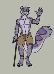  absurd_res anthro blue_eyes bottomwear cane clothed clothing felid fur grey_body grey_fur heterochromia hi_res male mammal pantherine purple_eyes sharkiedude shorts snow_leopard solo spots spotted_body spotted_fur topless 