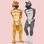  absurd_res aless-sotan anthro athletic athletic_male bdsm bondage bound bound_together brown_eartips brown_eyes brown_hair brown_stripes bulge canid canine canis clothed clothing cobondage collar collar_to_collar darkwolf_(silver1986) digital_drawing_(artwork) digital_media_(artwork) duo eye_contact fox fur gag gagged grey_body grey_fur hair hands_behind_back hi_res leash looking_at_another male mammal mostly_nude multicolored_body multicolored_fur nipples orange_body orange_fur orange_tail otn otn_gag pink_background pink_nipples restraints rope rope_bondage rope_leash siaph21 simple_background stripes submissive submissive_male superabsurd_res tan_body tan_fur tan_tail_tip topless topless_male two_tone_body two_tone_fur underwear white_body white_clothing white_fur white_underwear wolf worried yellow_eyes 