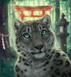  ambiguous_gender black_spots day detailed_background deyvarah digital_media_(artwork) felid feral forest fur grass grey_body grey_fur mammal outside pantherine plant snow_leopard solo spots spotted_body spotted_fur tree whiskers 