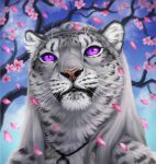  ambiguous_gender black_lips black_spots day detailed_background deyvarah digital_media_(artwork) felid fur grey_body grey_fur headshot_portrait lips mammal outside pantherine portrait purple_eyes sky snow_leopard spots spotted_body spotted_fur whiskers white_body white_fur 