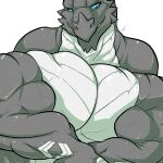  anthro big_muscles blue_eyes claws danandnite digital_media_(artwork) dominant dragon front_view grey_body grin hi_res huge_muscles hyper hyper_muscles kardukk kobold male multicolored_body muscular pecs pose raised_claws reptile scalie shaded signature smile solo standing teeth two_tone_body white_body 