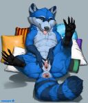  2022 anthro anus blue_body blue_fur female fur genitals hi_res looking_at_viewer mammal multi_nipple multicolored_body multicolored_fur nipples open_mouth presenting presenting_pussy procyonid pussy raccoon solo tongue tongue_out truegrave9 