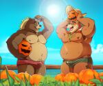  anthro armpit_hair belly body_hair brown_body brown_fur bulge clothing duo eyewear food fruit fur glasses jack-o&#039;-lantern lifewonders male mammal nipples overweight plant pumpkin seyrmo speedo swimwear tokyo_afterschool_summoners ursid video_games volos 