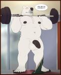  anthro balls black_penis blush erection exercise fur genitals hi_res humanoid_genitalia humanoid_penis k0suna male mammal nipple_piercing nipples niveus penis piercing polar_bear solo ursid ursine weightlifting white_balls white_body white_fur workout 