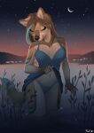  2022 anthro black_nose breasts brown_hair canid canine clothed clothing detailed_background digital_media_(artwork) eyebrows eyelashes female foufi hair hi_res mammal midriff navel night outside sky smile solo star starry_sky 