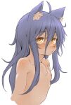  1girl ahoge animal_ear_fluff animal_nose blue_hair blush body_fur breasts closed_mouth eyebrows_visible_through_hair furry furry_female hawthorn highres long_hair looking_at_viewer nipples nude original simple_background small_breasts snout solo thick_eyebrows upper_body white_background yellow_eyes 