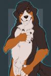  animal_genitalia anthro bernese_mountain_dog canid canine canis domestic_dog fully_sheathed genitals hi_res male mammal molosser mountain_dog patrikthedog ruska sheath solo swiss_mountain_dog 