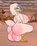  aged_up anatid anseriform anthro anus avian balls beach big_breasts bird breasts crouching disney duck ducktales ducktales_(2017) emo genitals gothicclatte herm hi_res horny_(disambiguation) intersex lena_(ducktales) puffy_anus seaside seductive tattoo 