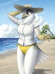  absurd_res annie_(fish_birb) anthro beach bikini bikini_bottom bottomless clothed clothing dress_shirt female fish_birb hat headgear headwear hi_res kite_(bird) no_pants panties pinup pose seaside shirt short_sleeved_shirt short_sleeves solo sun_hat swimwear topwear underwear white-tailed_kite 