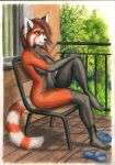  ailurid anthro breasts building casual_nudity chair clothing female footwear furniture hi_res looking_away mammal nude outside plant plantigrade red_panda shoes sitting solo syntech tree 