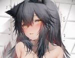  1girl animal_ears arknights black_hair blush eyebrows_visible_through_hair highres long_hair looking_at_viewer nude open_mouth orange_eyes simple_background solo sound_effects sweatdrop tab_head tail texas_(arknights) wolf_ears wolf_tail 