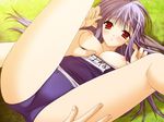  1girl blue_hair blush breasts breasts_outside demon dutch_angle game_cg grass groping knees_on_chest looking_at_viewer lying male_hand nerine nipples one-piece_swimsuit outdoors outside pointy_ears pov pov_eye_contact red_eyes school_swimsuit shuffle! sunlight sunshine swimsuit 