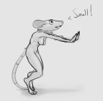  2021 anthro breasts buckteeth digitigrade english_text exclamation_point feet female fingers grey_background hi_res mammal monochrome murid murine nipples nude open_mouth rat rodent schmutzo shadow simple_background sketch small_breasts solo standing teeth text toes 