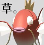  animal_focus black_eyes close-up commentary_request fish grey_background highres magikarp no_humans pokemon pokemon_(creature) simple_background smile solo suchi_(fsur7444) 