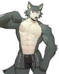  5_fingers abs anthro beastars black_eyes canid canine canis clothing countershade_face countershade_torso countershading eye_scar facial_scar fingers fur grey_body gris_swimsuit hi_res jrjresq legoshi_(beastars) looking_at_viewer male mammal meme meme_clothing multicolored_body multicolored_fur muscular muscular_male one-piece_swimsuit portrait scar simple_background solo swimwear tan_body tan_face three-quarter_portrait translucent translucent_clothing translucent_swimwear two_tone_body two_tone_fur white_background wolf 