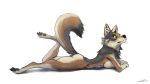  2021 anthro black_nose breasts butt canid canine canis coyote feet female fingers fluffy fluffy_tail fur grey_body grey_fur hi_res lying mammal multicolored_body multicolored_fur nude on_front pawpads schmutzo shadow signature solo toes yellow_eyes 