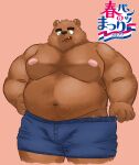  2022 anthro belly brown_body bulge clothing hi_res humanoid_hands japanese_text kemono male mammal moobs navel nipples overweight overweight_male simple_background solo text underwear underwear_festival ursid yuuh1212 