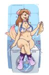  &lt;3 2022 anthro anthromage appliance blush breasts brown_hair canid canine canis clothing collar domestic_dog eyes_closed female footwear hair hi_res holding_clothing holding_object holding_underwear implied_transformation living_clothing mammal navel slightly_chubby smile socks tongue tongue_out underwear washing_machine 