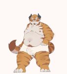  2022 anthro belly blush bulge clothing felid haoming hi_res humanoid_hands kemono male mammal moobs nipples overweight overweight_male pantherine simple_background solo tiger underwear 
