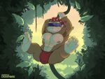  ape bulge chukepanso donkey_kong_(series) eyewear feet funky_kong gorilla haplorhine hi_res jungle male mammal nintendo prehensile_feet primate smile sunglasses swing video_games 