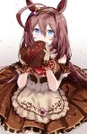  1girl 99ij8i81pq6tri5 absurdres ahoge animal_ears apron bangs black_hairband blue_eyes blush brown_dress brown_gloves brown_hair chocolate clothing_cutout covering_mouth crown_patisserie_(umamusume) dress eyebrows_visible_through_hair food frilled_cuffs frilled_sleeves frills gloves hair_ornament hairband heart highres holding holding_chocolate holding_food horse_girl long_hair looking_at_viewer medium_dress mihono_bourbon_(umamusume) official_alternate_costume short_sleeves shoulder_cutout solo umamusume valentine waist_apron 