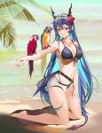  1girl absurdres animal_on_arm arknights bangs bare_arms bare_legs bare_shoulders barefoot beach bikini bird black_bikini blue_hair breasts ch&#039;en_(arknights) ch&#039;en_the_holungday_(arknights) chinese_commentary cleavage collarbone commentary_request dragon_horns flower front-tie_bikini front-tie_top hair_between_eyes hair_flower hair_ornament highres horns ken_(1057168252) kneeling large_breasts long_hair navel open_fly parrot red_eyes red_flower short_shorts shorts smile solo stomach swimsuit thighs very_long_hair white_shorts 