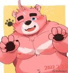  2022 absurd_res anthro belly black_nose blue_eyes blush hi_res humanoid_hands kemono male mammal moobs nipples overweight overweight_male solo ursid zuboboz 