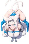  1girl animal_ear_fluff animal_ears ass bangs bare_shoulders bent_over blue_eyes blue_legwear blue_leotard blue_ribbon blush breasts cat_ears cat_girl cat_tail detached_sleeves dobrynya_nikitich_(fate) elbow_gloves eyebrows_visible_through_hair eyes_visible_through_hair fate/grand_order fate_(series) from_above fur_trim gloves hair_intakes hair_ornament hairband highleg highleg_leotard highres large_breasts leotard looking_at_viewer low_ponytail ribbon shiroshisu simple_background skindentation smile solo strapless tail tail_wagging thighhighs thighs top-down_bottom-up tube_top wedgie white_background white_gloves white_hair 