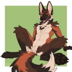  absurd_res anthro brown_body brown_fur canid canine featureless_crotch fur green_background green_eyes hi_res male mammal maned_wolf open_mouth orange_body orange_fur pawpads paws simple_background sitting solo tan_body tan_fur yookie 