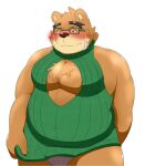  anthro aosano_tenpura belly blush brown_body brown_fur clothed clothing crossdressing embarrassed eyewear fur glasses keyhole_clothing lifewonders male mammal overweight pecs solo tokyo_afterschool_summoners underwear upskirt ursid video_games volos 