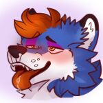  absurd_res ahegao anthro blue_body blue_fur blush bodily_fluids canid canine canis domestic_dog dripping eccentrictrash fur hair hi_res husky looking_pleasured male mammal nordic_sled_dog orange_hair saliva saliva_drip saliva_on_tongue solo spitz sureto teeth tongue tongue_out white_body white_fur 